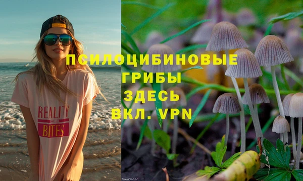 МДПВ Белокуриха
