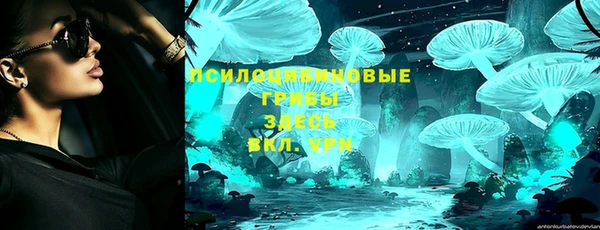МДПВ Белокуриха