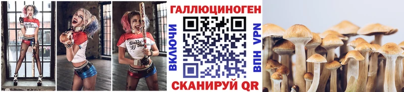 как найти наркотики  KRAKEN онион  Галлюциногенные грибы Cubensis  Пикалёво 