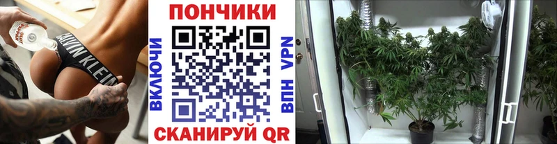Бошки марихуана VHQ хочу наркоту Пикалёво